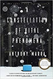 constellation of vital phenomena