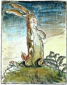 velveteen rabbit